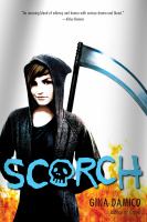Scorch cover