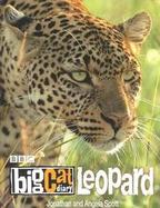 Leopard cover