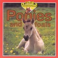 Ponies and Foals cover