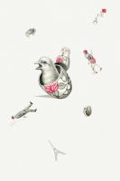 Babayaga : A Novel cover