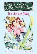 It's Snow Joke cover