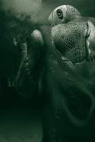 A Long Time Til Morning cover