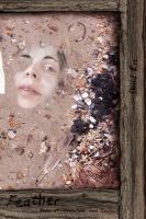 Feather : Tales of Isolation and Descent (Paperback) cover