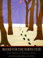 Bound for the North Star True Stories of Fugitive Slaves cover