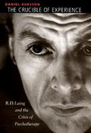 The Crucible of Experience R.D. Laing and the Crisis of Psychotherapy cover