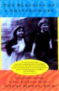 The Blessing of a Skinned Knee Using Jewish Teachings to Raise Self-Reliant Children cover