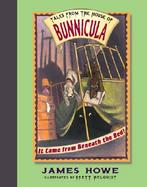 It Came from Beneath the Bed Tales from the House of Bunnicula cover