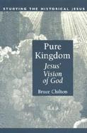Pure Kingdom Jesus' Vision of God cover