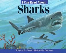 Icr Sharks - Pbk (Trade) cover