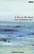 A Fire In His Head The Adventures Of Wandering Aengus cover