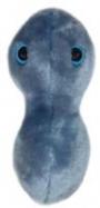 GiantMicrobes-Clap cover