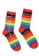 LIB PRIDE SOCKS SMALL cover