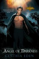 Angel of Darkness cover