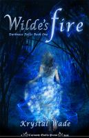 Wilde's Fire : Darkness Falls, Book One cover