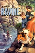 Ravine cover