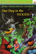 One Day in the Woods cover