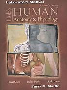 Hole's Human Anatomy and Physiology Lab Manual cover