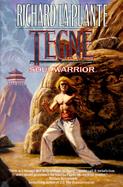 Tegne: Soul Warrior cover