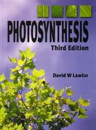 Photosynthesis Molecular, Physiological and Environmental Processes cover