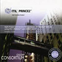 Delivering It Services Using Itil, PRINCE2 and Dsdm Atern cover