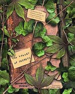 Valley of Secrets cover