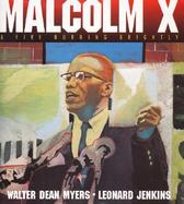 Malcolm X A Fire Burning Brightly cover