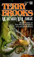 Wizard at Large cover