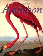 Audubon American Birds cover