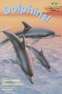 Dolphins cover