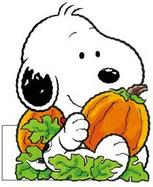 Baby Snoopy's Pumpkin cover