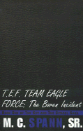 T.E.F. Team Eagle Force-The Boren Incident Book One of the Key and the Citadel Saga cover