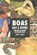 Boas Rosy & Ground cover
