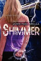 Shimmer : A Novel cover