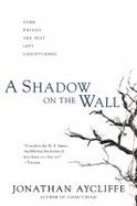 A Shadow on the Wall : A Novel cover