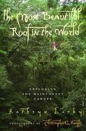 The Most Beautiful Roof in the World Exploring the Rainforest Canopy cover