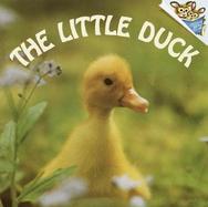 The Little Duck cover