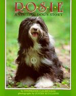 Rosie A Visiting Dog's Story cover