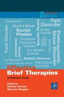 Effective Brief Therapies- A Clinicians Guide cover