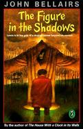 The Figure in the Shadows cover