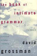 The Book of Intimate Grammar cover