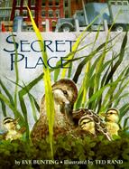 Secret Place cover