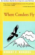 Where Condors Fly cover