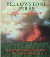 Yellowstone Fires: Flames and Rebirth cover