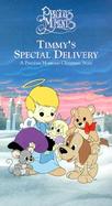 Timmy's Special Delivery cover