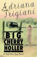 Big Cherry Holler: A Big Stone Gap Novel cover