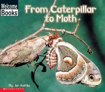 From Caterpillar to Moth cover