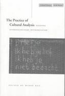 Practice of Cultural Analysis Exposing Interdisciplinary Interpretation cover