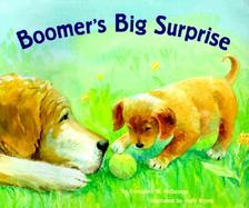 Boomer's Big Surprise cover