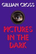 Pictures in the Dark cover