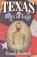 Texas Boys in Gray cover